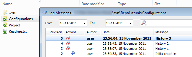 SVN repository structure